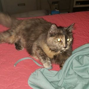 Meet your Posher, Michelle